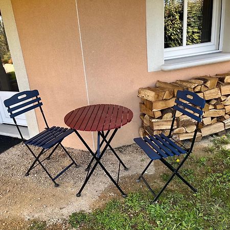 Appartamento Comme Dans Un Ecrin - T2 De 50 M² Avec Jardin, Terrasse Et Piscine Vernaison Esterno foto