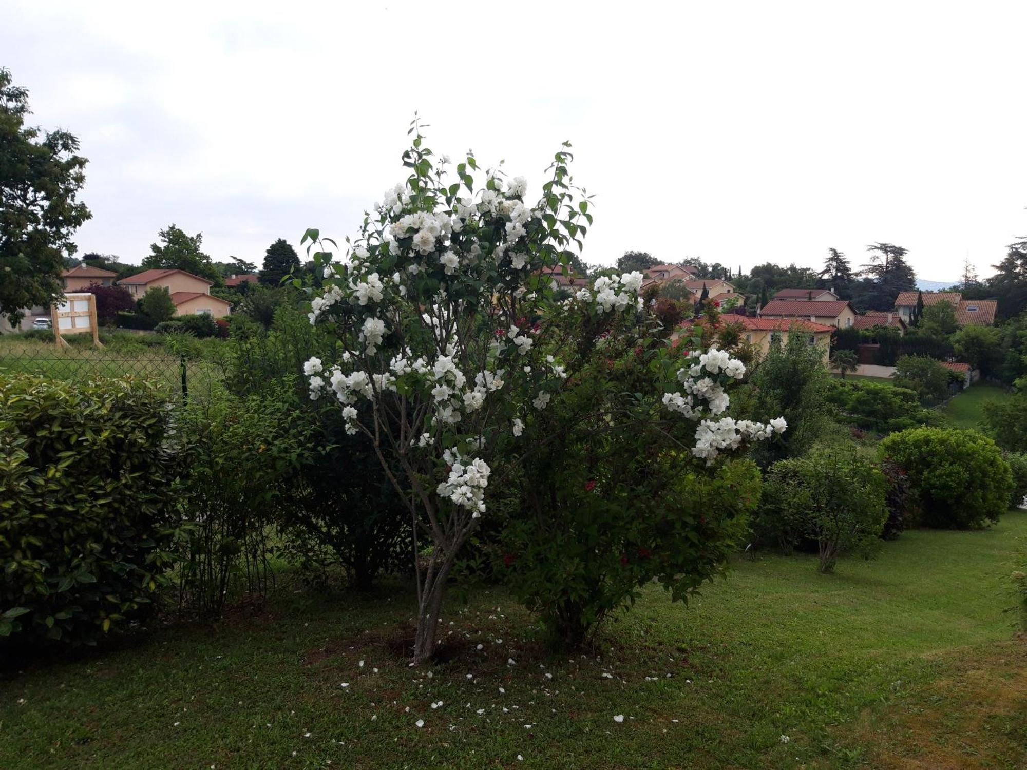 Appartamento Comme Dans Un Ecrin - T2 De 50 M² Avec Jardin, Terrasse Et Piscine Vernaison Esterno foto